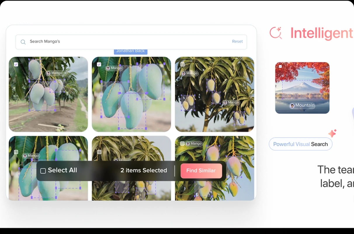 image-/databrewery/customers/intelligentSearch.webp