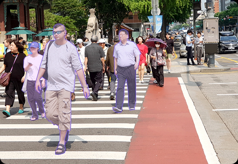 image-/databrewery/usecase/imageSegmentation.webp